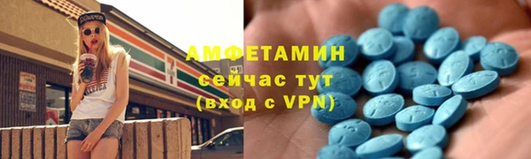 сатива Ельня