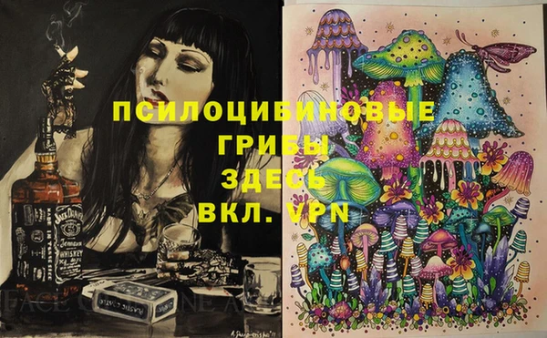 сатива Ельня