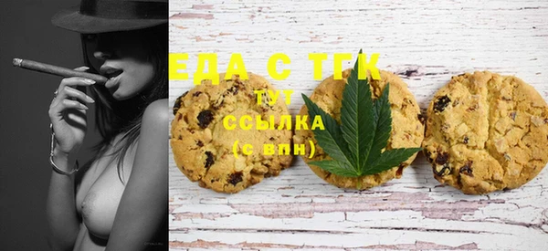 сатива Ельня