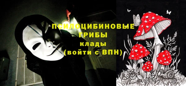 сатива Ельня