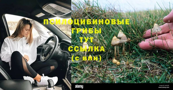 гашиш Елизово