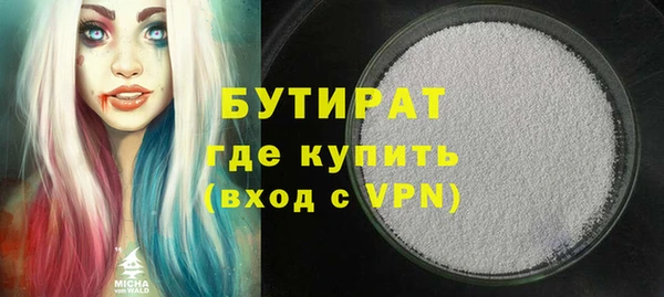 сатива Ельня