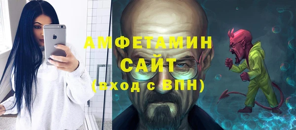 сатива Ельня