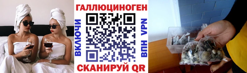 Псилоцибиновые грибы ЛСД  Купить  Пересвет 